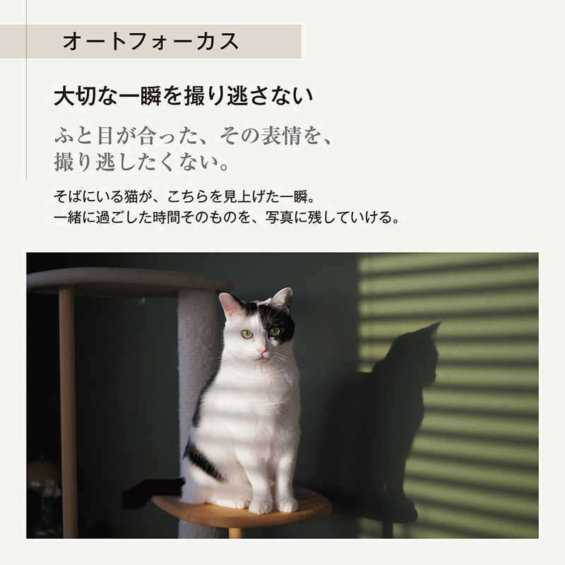 OMSYSTEM OMSYSTEM PEN ダブルズームキット ミラーレス一眼カメラ ［ズームレンズ＋ズームレンズ］ シルバー PENダブルズームキットSLV PENダブルズームキットSLV
