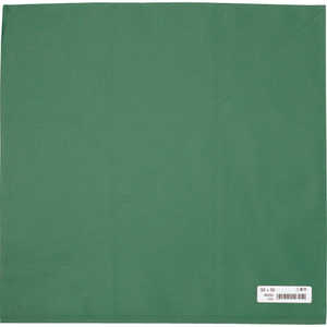 ナガイレーベン 二重四角巾 AD-90200(グリーン)577