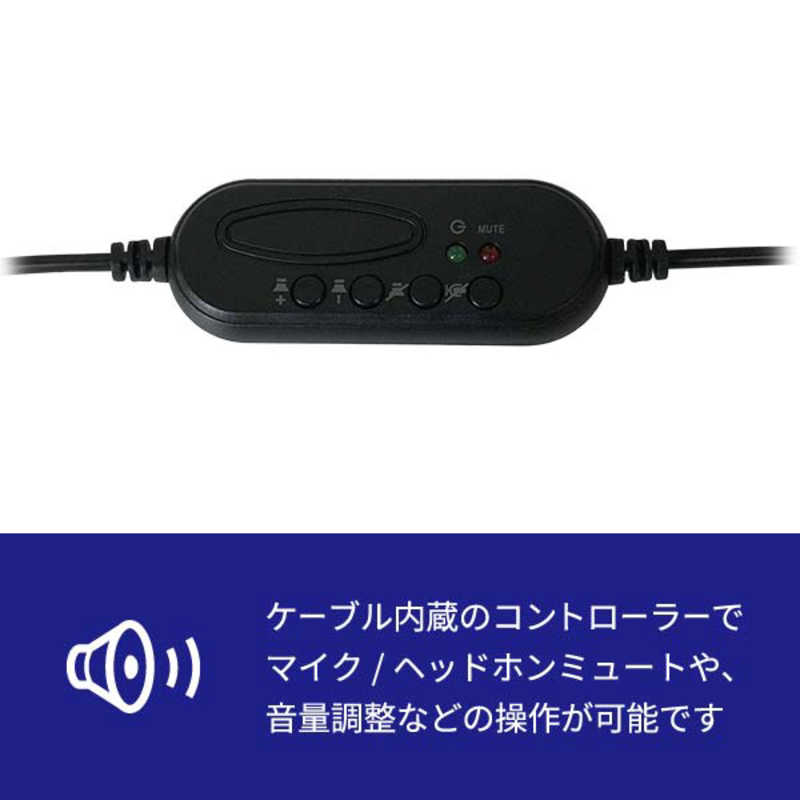 NEWBRIDGE NEWBRIDGE ヘッドセット テレワーク用 ブラック [USB /両耳 /ヘッドバンドタイプ] NB-04 NB-04