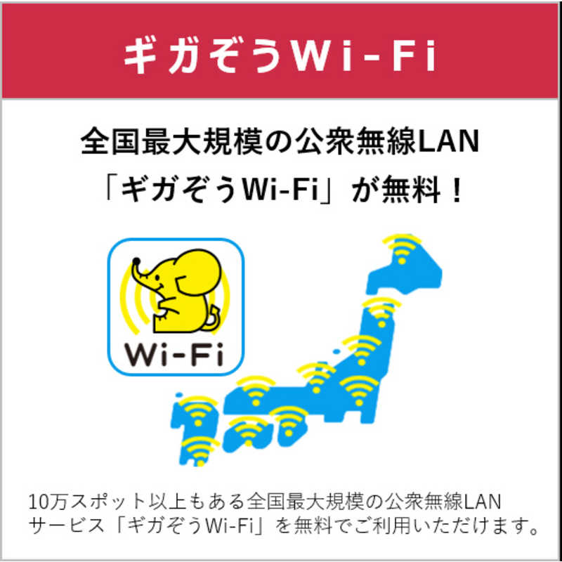 IIJ IIJ 【無料Wi-Fi付】BIC SIM ギガプランパッケージ（音声/SMS/データ共通） IMB330 IMB330