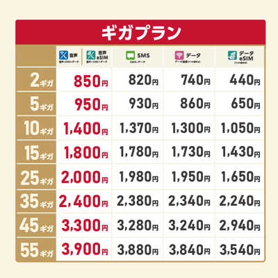 IIJ 【無料Wi-Fi付】BIC SIM ギガプランパッケージ（音声/SMS
