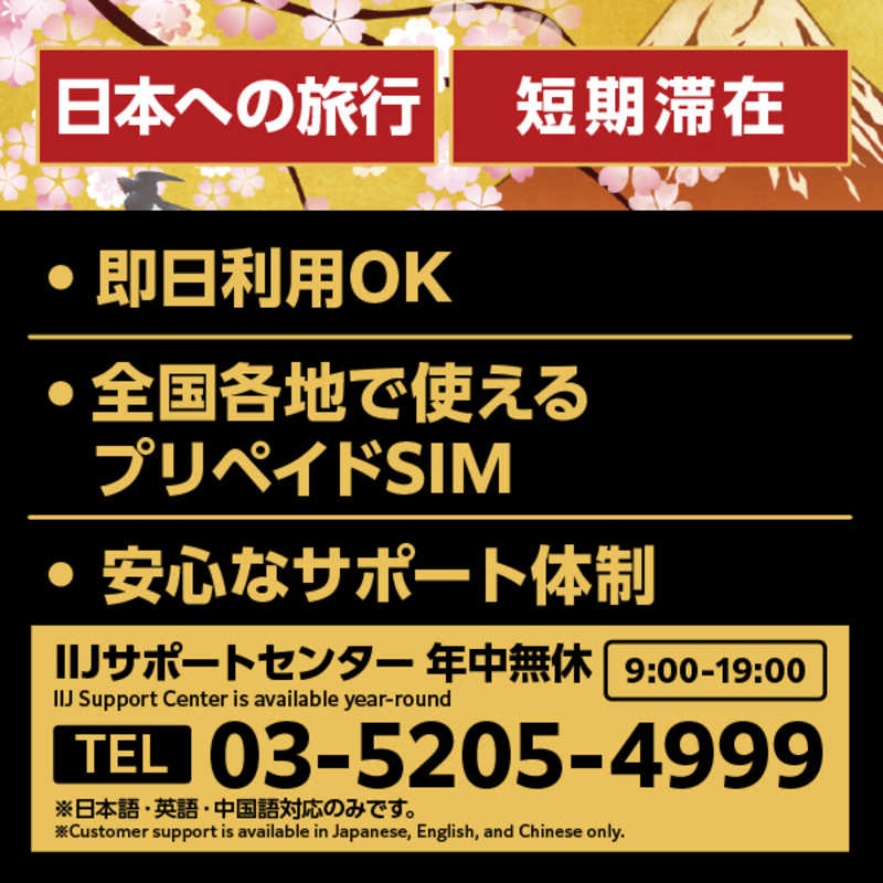 IIJ IIJ Japan Travel SIM 3GB (Type I) for BIC SIM IMB355 IMB355