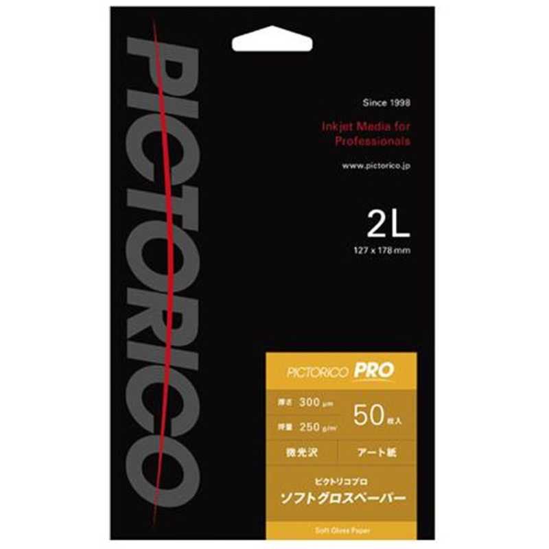 ピクトリコ ピクトリコ ソフトグロスペーパー PPG210‐2L/50 PPG210‐2L/50
