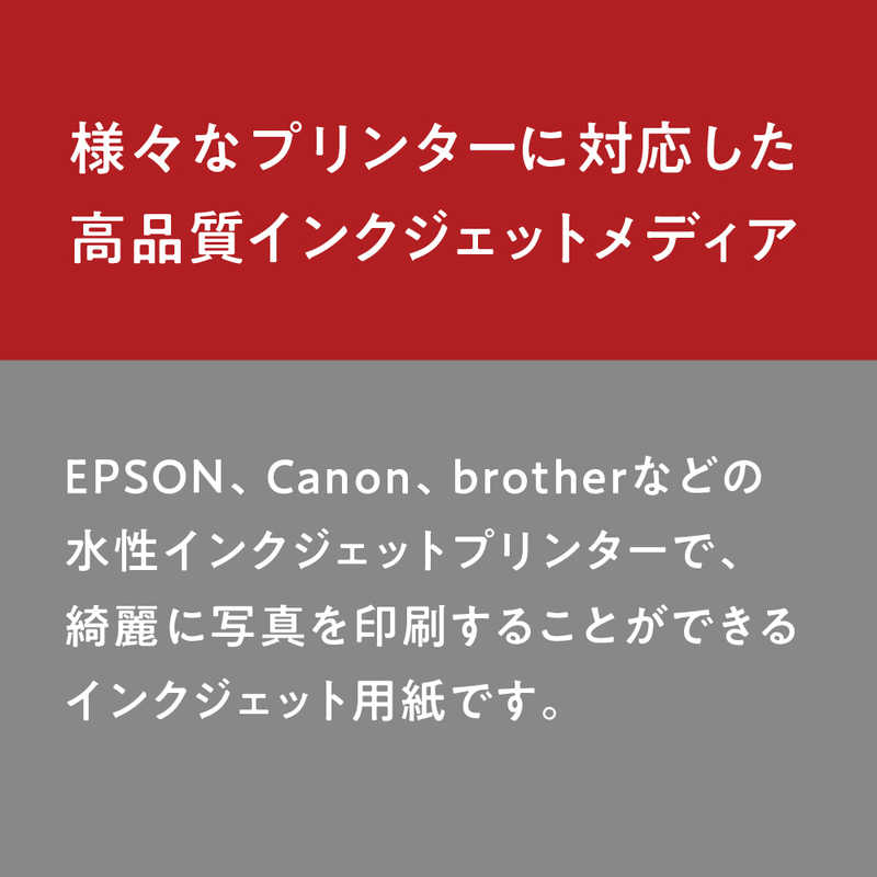 ピクトリコ ピクトリコ プレミアム･フォトグロスペーパー(L判･100枚) BKS170‐L100 BKS170‐L100