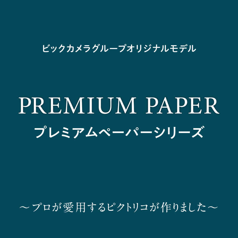 ピクトリコ ピクトリコ プレミアム･フォトグロスペーパー(はがきサイズ･50枚) BKS170‐SGHG50 BKS170‐SGHG50