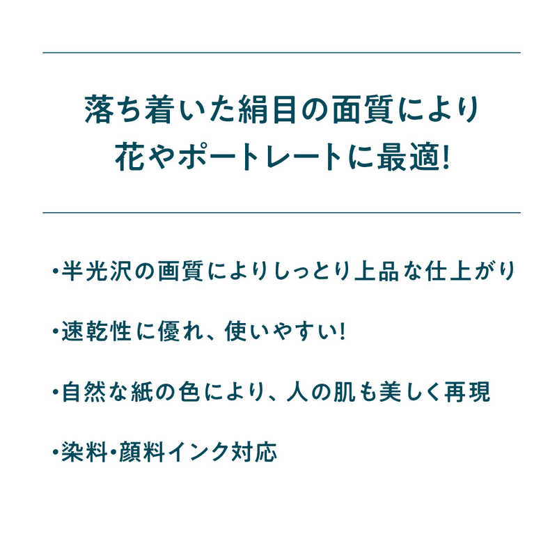 ピクトリコ ピクトリコ プレミアム･フォトグロスペーパー(はがきサイズ･50枚) BKS170‐SGHG50 BKS170‐SGHG50