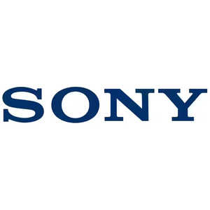 ソニー　SONY ソニー WF-XB700用 イヤーピース1個 ZZXB700EPLN