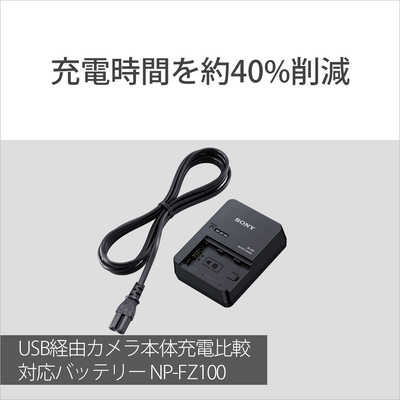 ソニー SONY チャージャー「BC-QZ1」とバッテリー「NP-FZ100」をセット