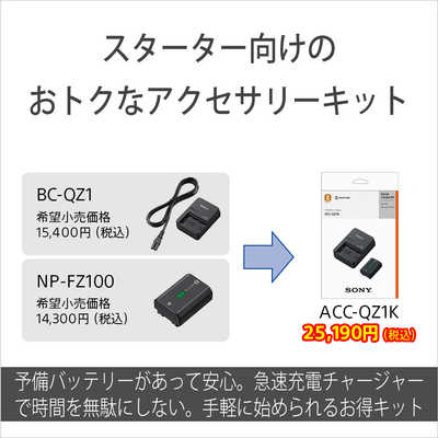 ソニー SONY チャージャー「BC-QZ1」とバッテリー「NP-FZ100」をセット
