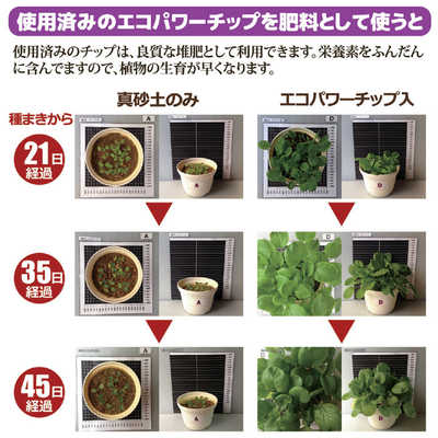 エコクリーン 室内型家庭用生ごみ処理機 エコクリーン ル・カエル基本 エコクリーン 室内型家庭用生ごみ処理機 エコクリーン ル・カエル基本