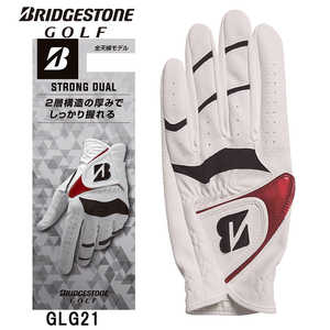 ֥¥ȥ ֥ ѡ []ե ȥ󥰥ǥ奢 STRONG DUAL(22cm/ۥ磻) GLG21WR22