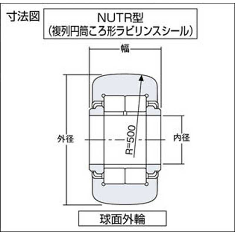 NTN NTN F ニードルベアリング NUTR205 NUTR205
