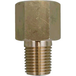 Ĺ��״� �Ѽ� FJ10271