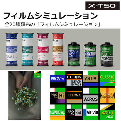 Fujichrome PROVIA 400F フィルム 36枚 5本（FUJICHROME PROVIA