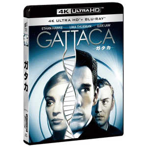 �\�j�[�s�N�`���[�Y�G���^�e�C�������g �K�^�J 4K ULTRA HD �� �u���[���C�Z�b�g