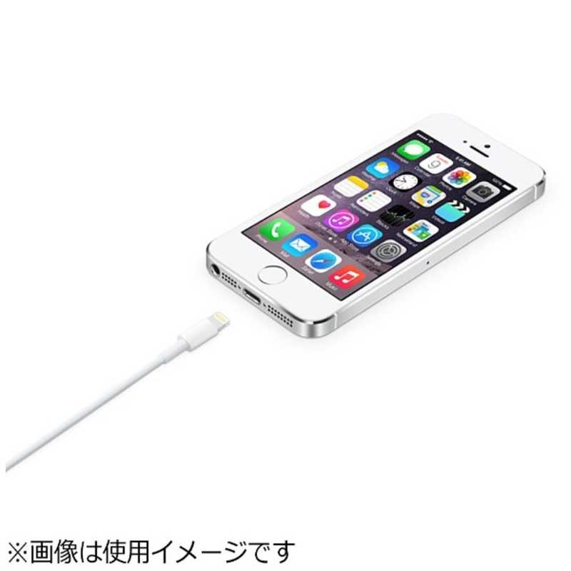 アップル アップル ｢純正｣iPad/mini/iPhone/iPod対応 Lightning⇔USBケーブル(2m) MD819AM / A (ホワイト) MD819AM / A (ホワイト)