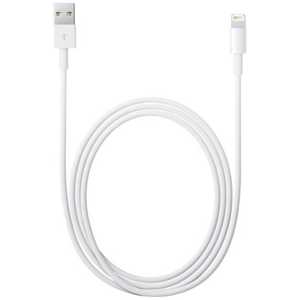 åץ ֽiPad/mini/iPhone/iPodб LightningUSB֥(2m) MD819AM / A (ۥ磻)