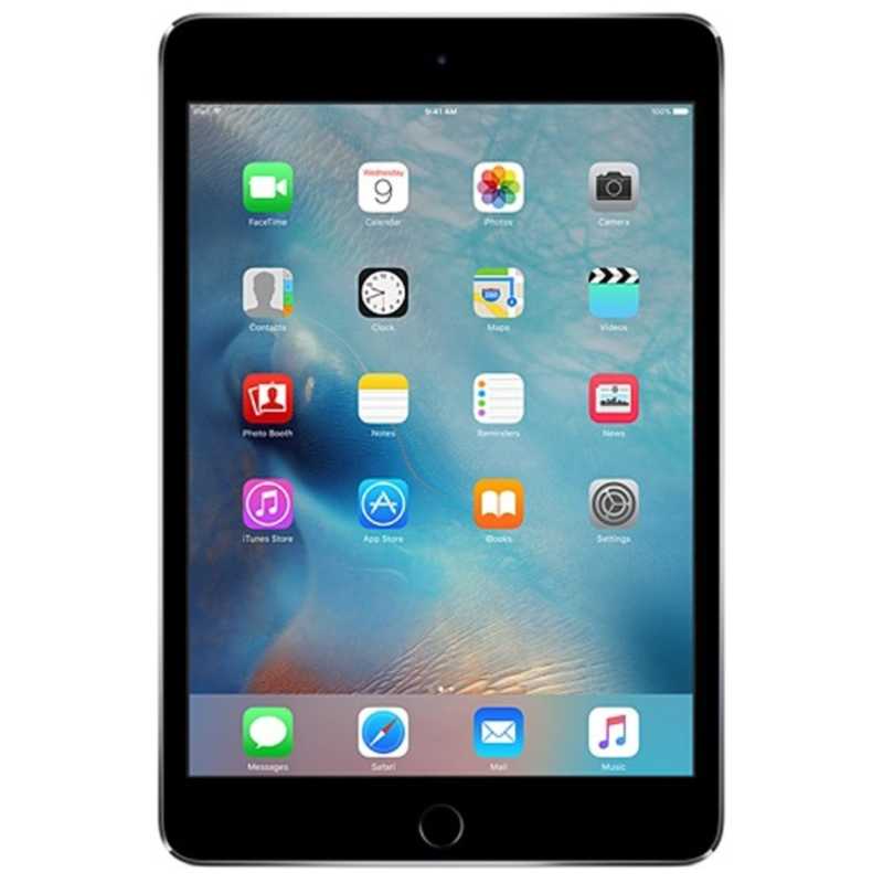 アップル アップル iPad mini 4 Wi-Fiモデル MK9N2J/A （128GB・スペースグレイ）　スペースグレイ MK9N2JA MK9N2JA