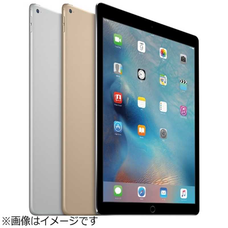 アップル アップル iPad Pro 12.9インチ Retinaディスプレイ Wi-Fiモデル ML0F2J/A （32GB・スペースグレイ）　スペースグレイ ML0F2JA ML0F2JA