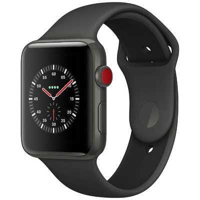 アップル Apple Watch Edition(GPS + Cellularモデル) 42mm グレイ