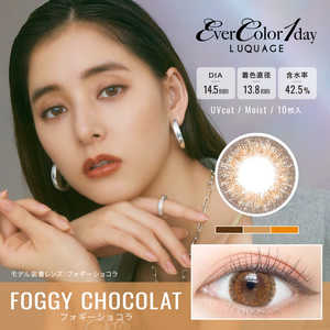 アイセイ (度あり/-0.75) エバーカラーワンデールクアージュ フォギーショコラ(BC8.7/ PWR-0.75/ DIA14.5)(10枚入) カラコン アイセイ (度あり/-0.75) エバーカラーワンデールクアージュ フォギーショコラ(BC8.7/ PWR-0.75/ DIA14.5)(10枚入) カラコン