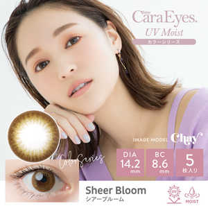 アイレ ワンデーキャラアイUVモイスト シアーブルーム(BC8.6 / PWR-2.00 / DIA14.2)(5枚入) アイレ ワンデーキャラアイUVモイスト シアーブルーム(BC8.6 / PWR-2.00 / DIA14.2)(5枚入)