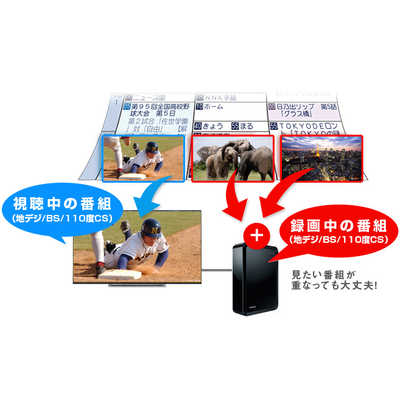 TVS REGZA 液晶テレビ 50M520X の通販 - カテゴリ：テレビ・レコーダー