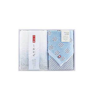 タオル美術館 しおかぜ ウォッシュタオル1枚/フェイスタオル1枚セット ブルー 今治タオル
