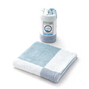 タオル美術館 TOWEL LAUNDRY the ベーシック バスタオル 約60×120cm ブルー 23-3013300B