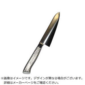 ] EBM E-pro PLUS  18cm zCg 8734010