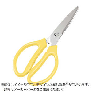 ] EBM XeX ZNgLb`oT~ CG[ 0195530