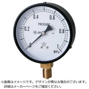 右下精器製造 右下圧力計AVT3/8×75×10MPa  G311211V10MPA