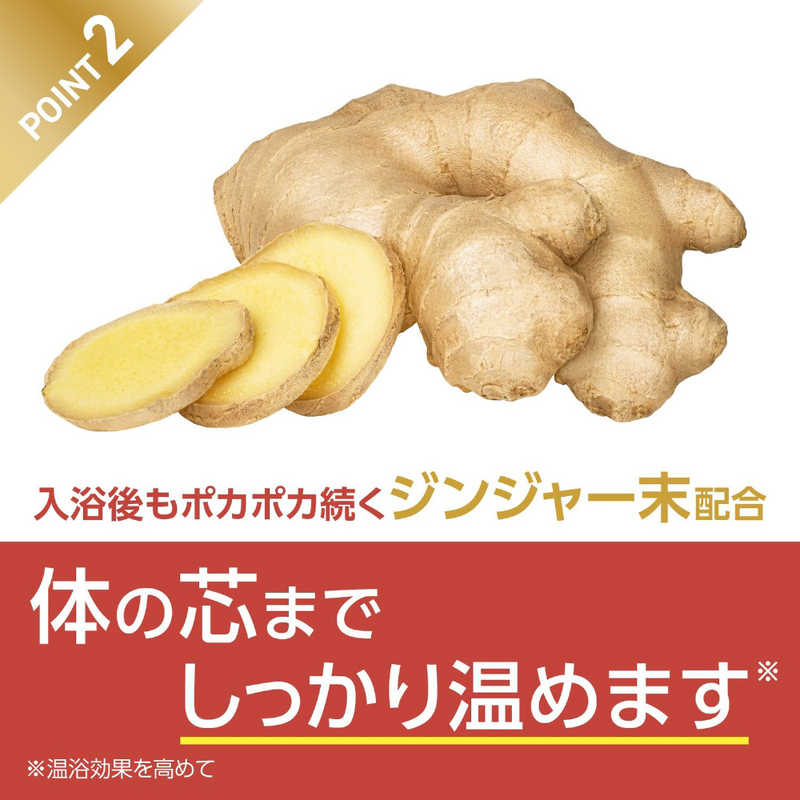 アース製薬 アース製薬 きき湯 ファインヒート スマートモデル (400g) 【医薬部外品】  