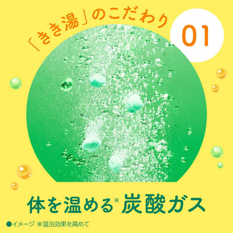 アース製薬 アース製薬 きき湯 マグネシウム炭酸湯 (360g)【医薬部外品】  