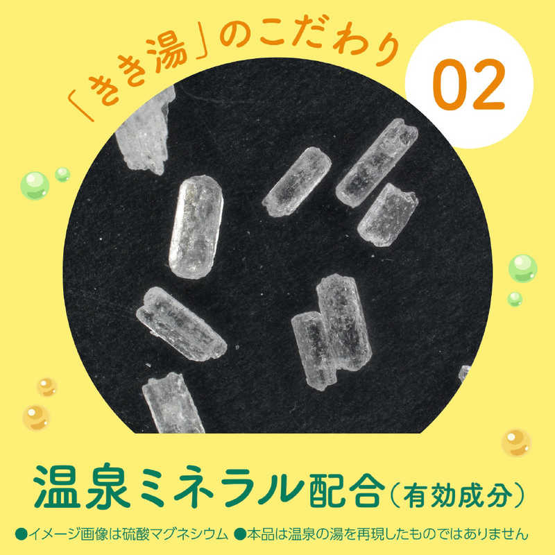 アース製薬 アース製薬 きき湯 マグネシウム炭酸湯 (360g)【医薬部外品】  