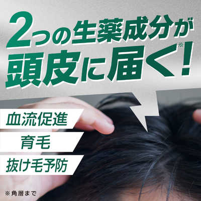 アース製薬 INCENT(インセント) 薬用育毛トニック 無香料 190g ペア