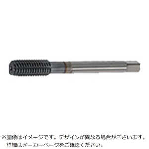  ֥륿եå W-TF 47010 WTFM7X0.75B6