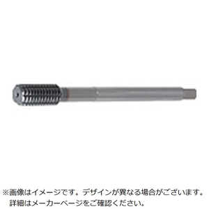 田野井製作所 ダブルタフレット LT-W-TF 47862 LTWTFM10X1.5X100B7 田野井製作所 ダブルタフレット LT-W-TF 47862 LTWTFM10X1.5X100B7