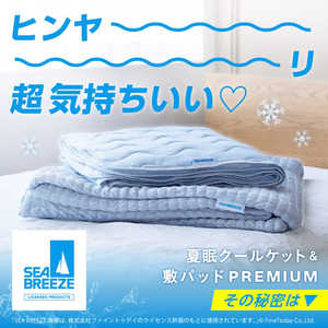 アメイズプラス 夏眠 クールケット プレミアム SEA BREEZE 1009 アメイズプラス 夏眠 クールケット プレミアム SEA BREEZE 1009