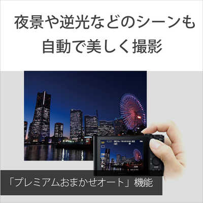 ソニー SONY デジタルカメラ サイバーショット DSC-WX500 の通販