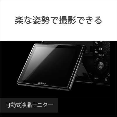 ソニー SONY コンパクトデジタルカメラ Cyber-shot DSC-RX1RM2 の通販