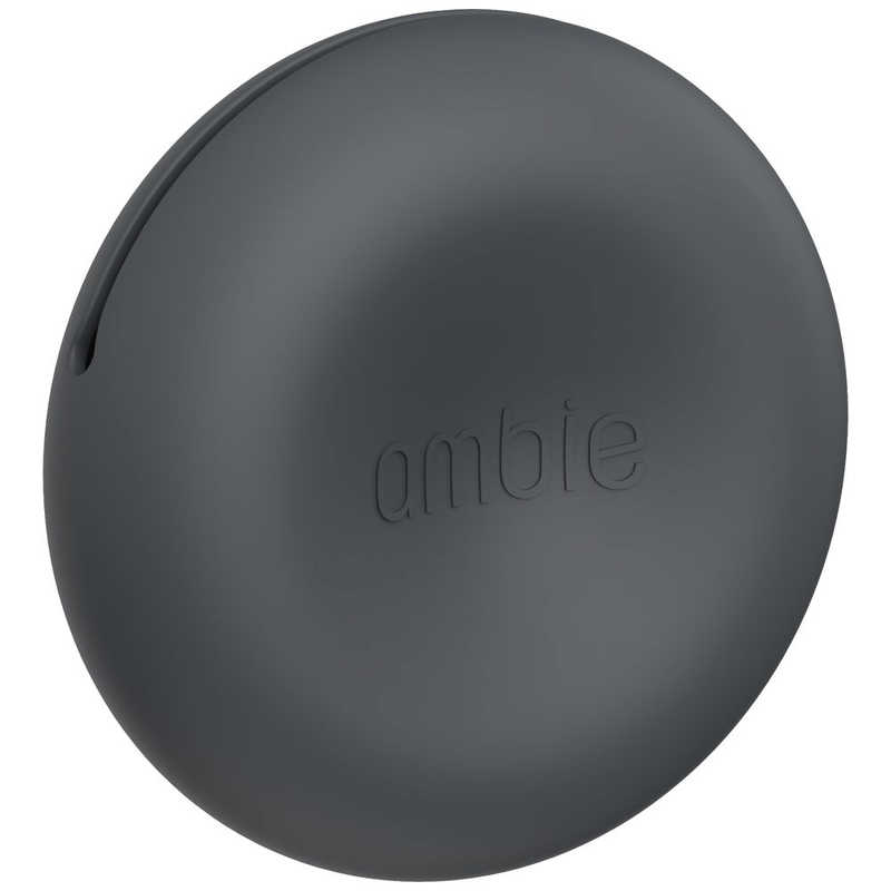 AMBIE AMBIE イヤホン カナル型 ［φ3.5mm ミニプラグ］ Asphalt Black AM02BQ AM02BQ