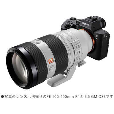 ソニー SONY ミラーレス一眼カメラ ボディ単体 ILCE-7RM3 の通販 