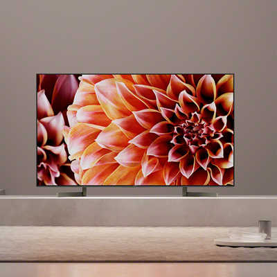 ソニー SONY BRAVIA (ブラビア) 液晶テレビ 65V型 KJ-65X9000F の通販  