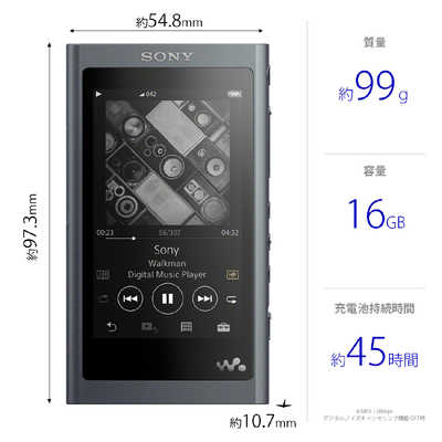 ソニー SONY ハイレゾ対応ウォークマン(16GB)｢WAシリーズ｣ NW-A55HN 