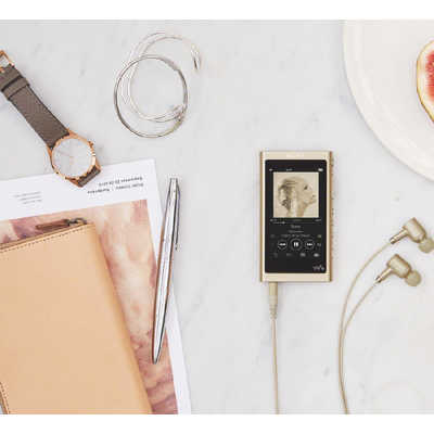 ソニー SONY ハイレゾ対応ウォークマン(16GB)｢WAシリーズ｣ NW-A55 (NM