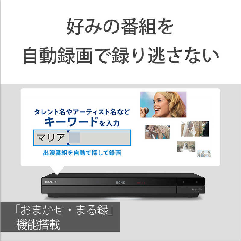 ソニー　SONY ソニー　SONY ブルーレイレコーダー 1TB 3番組同時録画 4Kチューナー内蔵 BDZ-FBT1000 BDZ-FBT1000