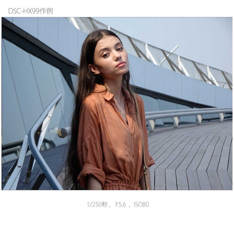 ソニー　SONY ソニー　SONY コンパクトデジタルカメラ Cyber-shot DSC-HX99 Cyber-shot DSC-HX99