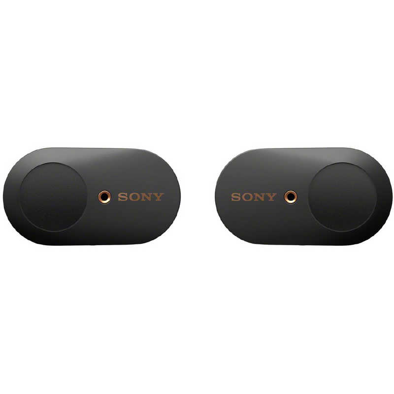 オーディオ機器 イヤフォン ソニー SONY フルワイヤレスイヤホン ブラック [リモコン・マイク対応 