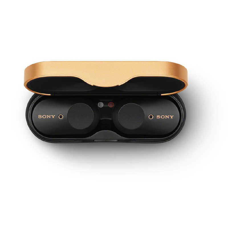 オーディオ機器 イヤフォン ソニー SONY フルワイヤレスイヤホン ブラック [リモコン・マイク対応 